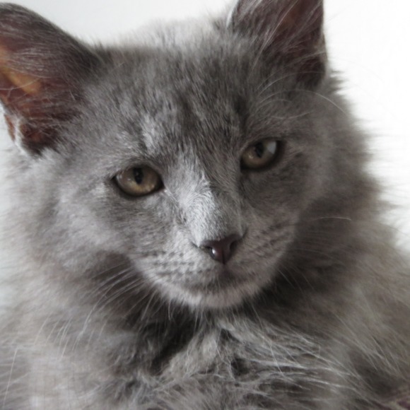 With any 2+ bundle get 20% off - Picture 1 of 1